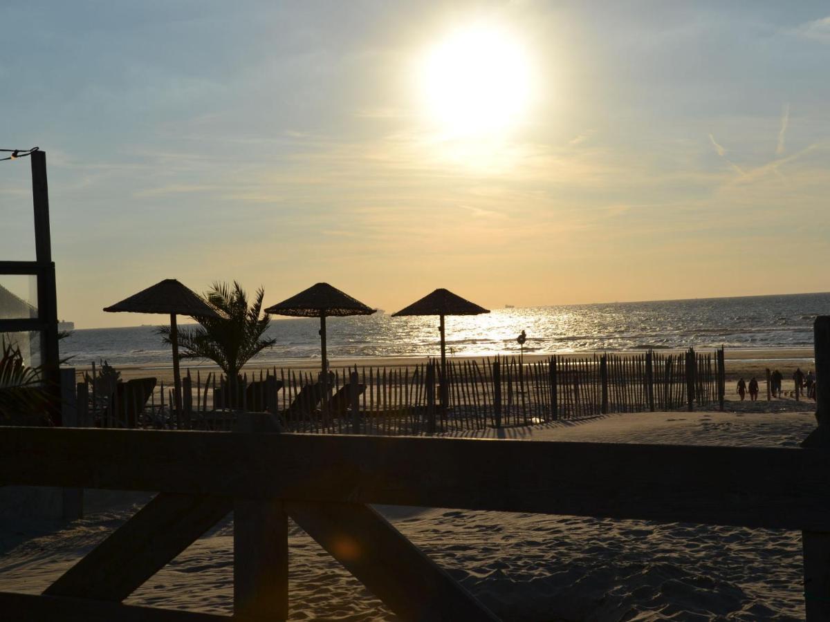 Unique Bungalow On The Dunes At Only 700 M From The Beach s-Gravenzande Zewnętrze zdjęcie